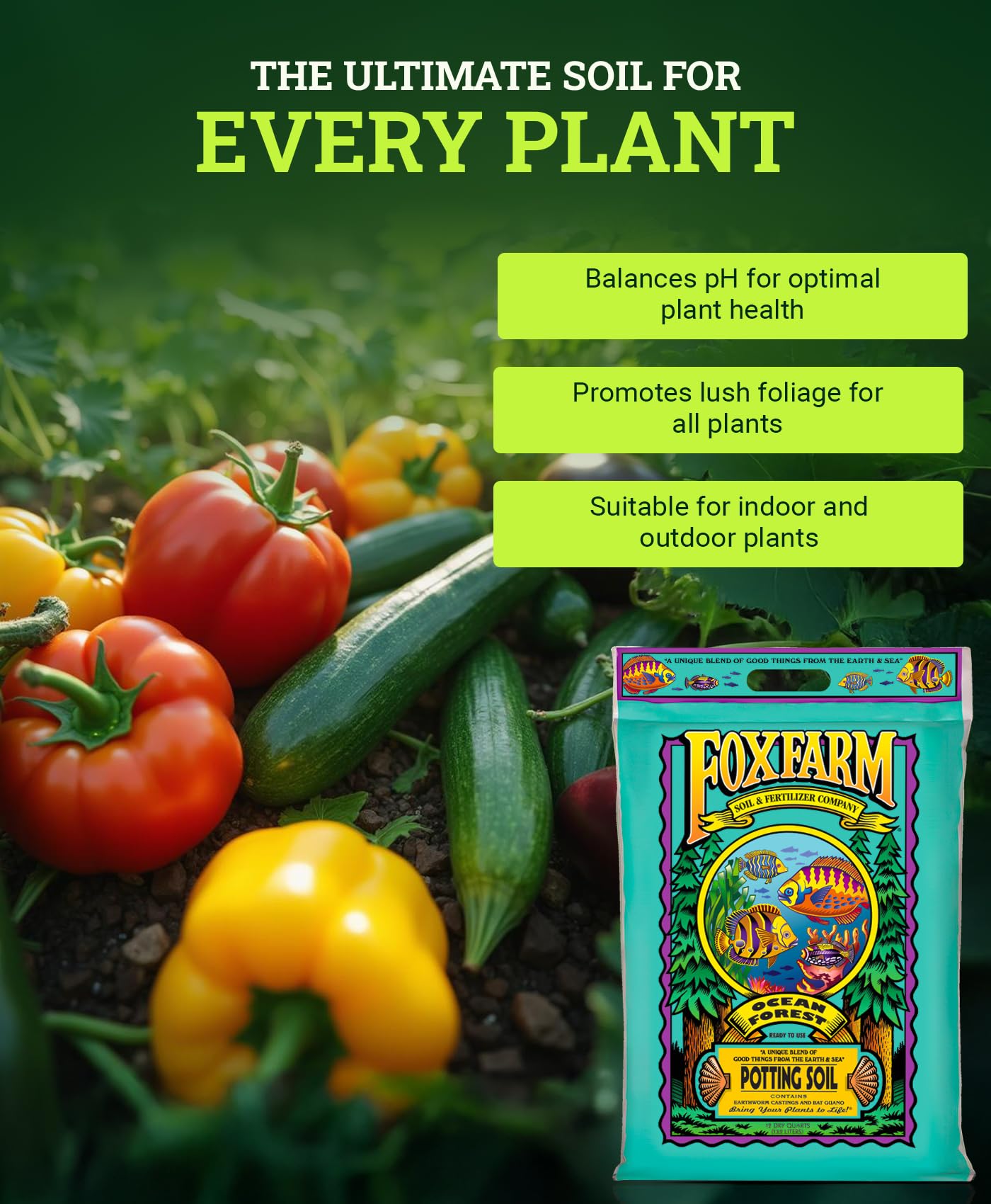 FoxFarm Ocean Forest Potting Soil, 12qt – Light, Aerated Texture, Designed for All Container Plants – pH Adjusted for Optimal Nutrient Uptake, Effectively Retains Moisture (12 Quart)