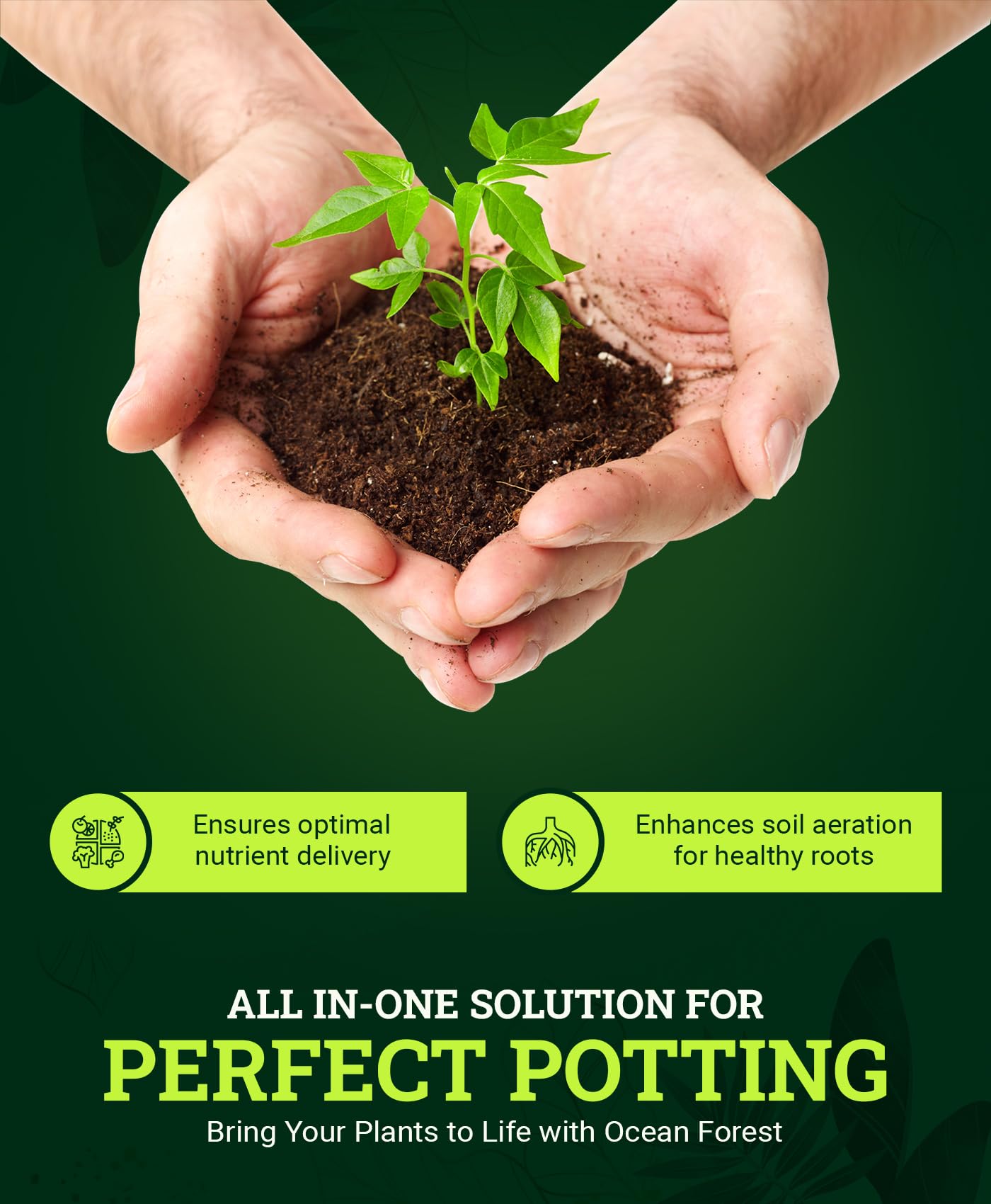 FoxFarm Ocean Forest Potting Soil, 12qt – Light, Aerated Texture, Designed for All Container Plants – pH Adjusted for Optimal Nutrient Uptake, Effectively Retains Moisture (12 Quart)