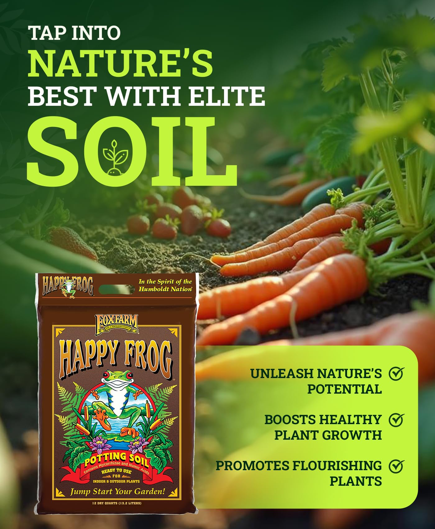 FoxFarm Happy Frog Potting Soil, 12qt – for Indoor/Outdoor Container Plants, Improves Root Efficiency, pH Adjusted for Optimal Nutrient Uptake – Contains Microbes and Humic Acids