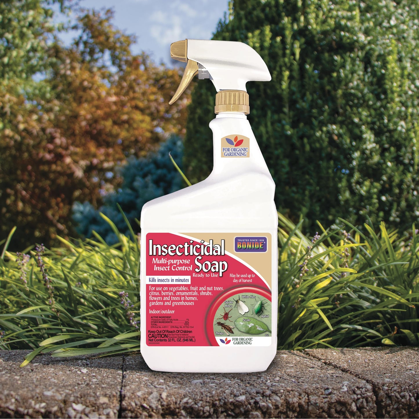 Bonide Insecticidal Soap, 32 oz Ready-to-Use Spray Multi-Purpose Insect Control for Organic Gardening Indoor and Outdoor