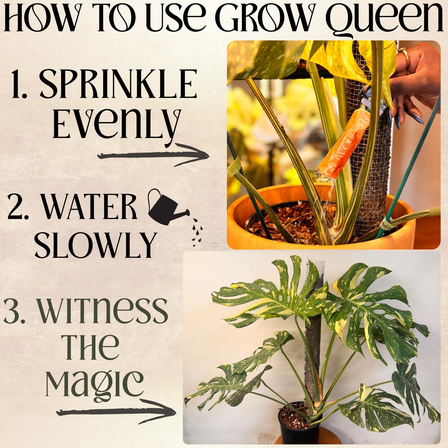 Grow Queen All-in-One Complete Organic Plant Food, Indoor Plant Food for Houseplants, Organic Fertilizer for Vegetable Gardens, 7 Formulated Single Servings Feeds 14 gal Fast and Slow Release