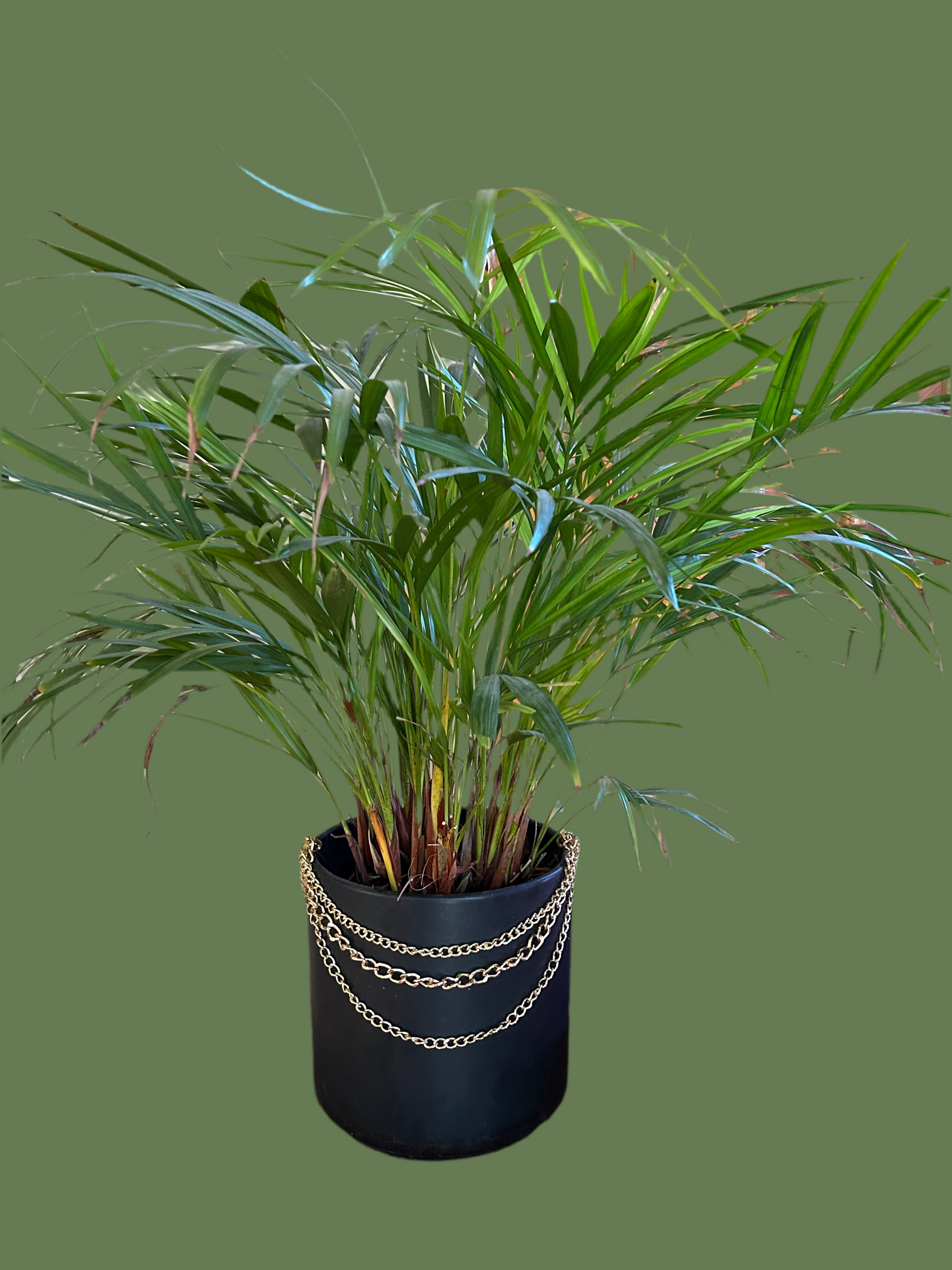 3 chain necklace to add style to your pots!