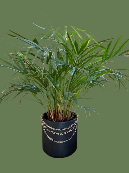 3 chain necklace to add style to your pots!