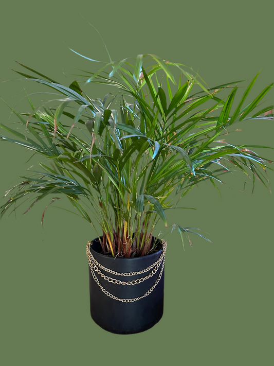 3 chain necklace to add style to your pots!
