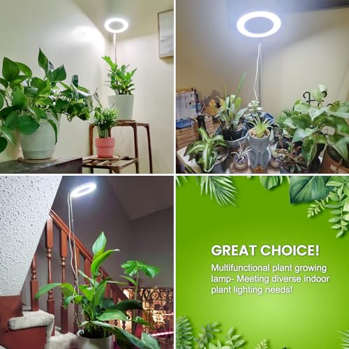 Kullsinss Grow Lights for Indoor Plants Full Spectrum, 80 LEDs Plant Light for Indoor Growing with 2 Mounting Options, 6H 12H 16H Timer, 3 Spectrum Modes, 37.4 in Height Adjustable Desk Grow Lamp