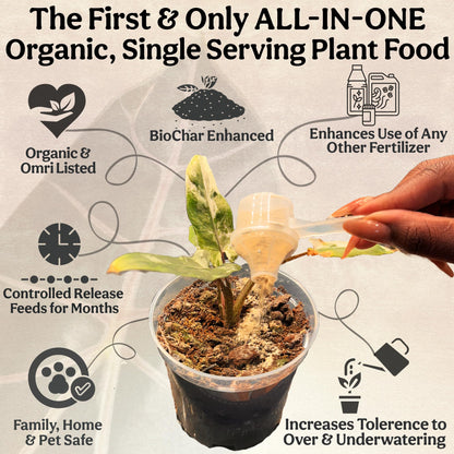 Grow Queen Organic Plant Food, Indoor Plant Food for Houseplants & Aroids, Organic Fertilizer for Flower & Vegetable Gardens, 1lb = 25 Servings, Feeds 50 gal Instantly and Slow Release
