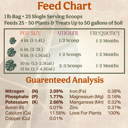 Grow Queen Organic Plant Food, Indoor Plant Food for Houseplants & Aroids, Organic Fertilizer for Flower & Vegetable Gardens, 1lb = 25 Servings, Feeds 50 gal Instantly and Slow Release